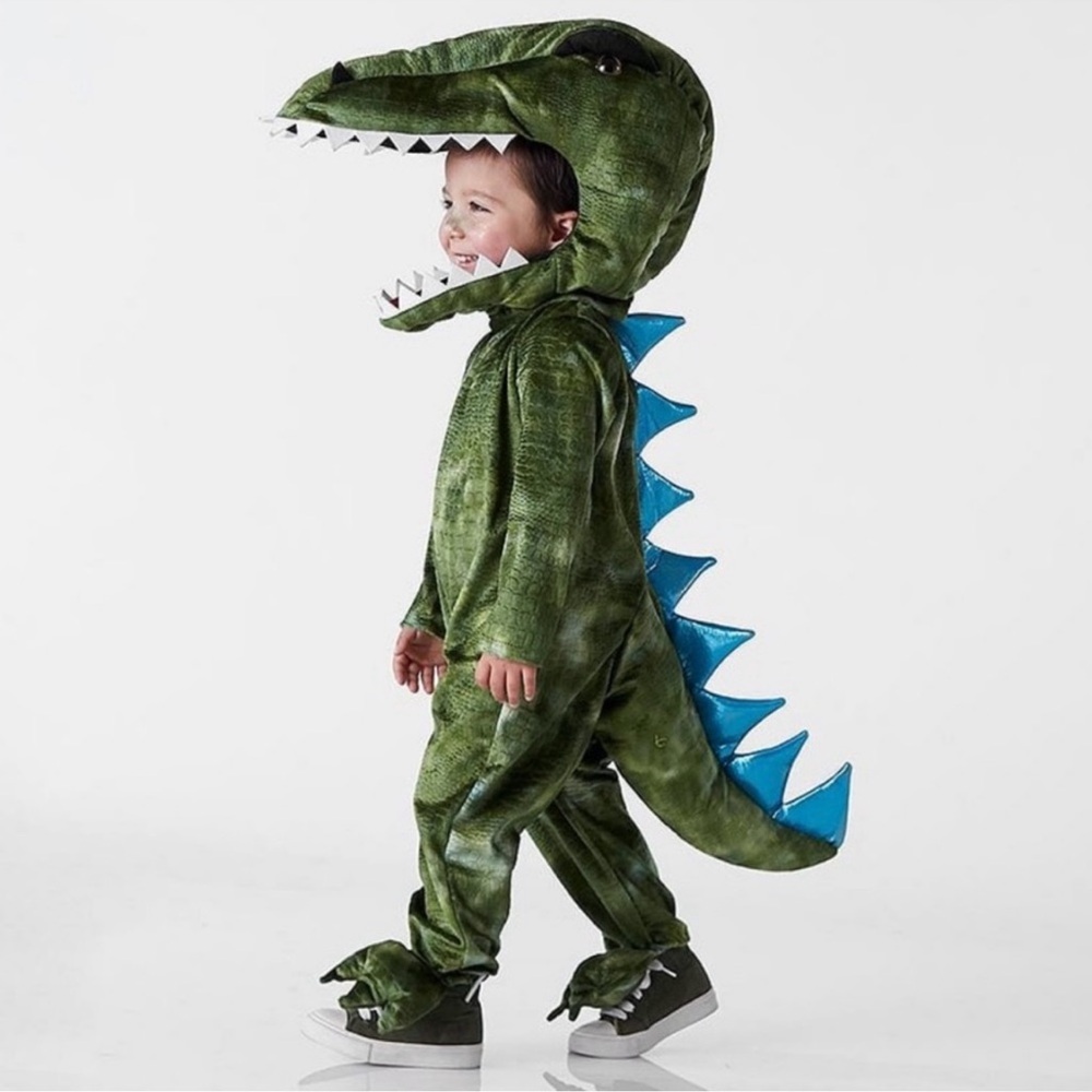Pottery Barn Kids Dinosaur Costume - Green and Blue